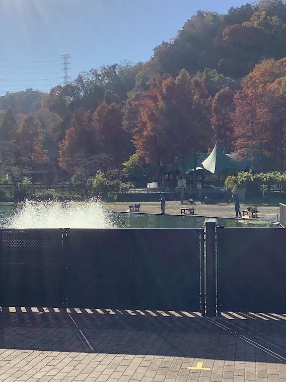 11月17日(月)日記