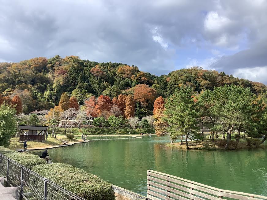 11月18日（火）日記