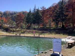 11月21日（金）日記