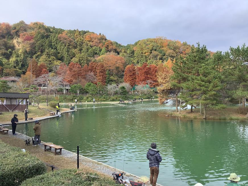 11月23日（日）　日記