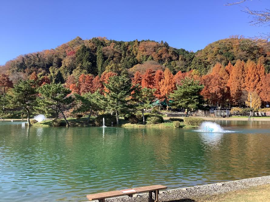 11月26日（水）日記