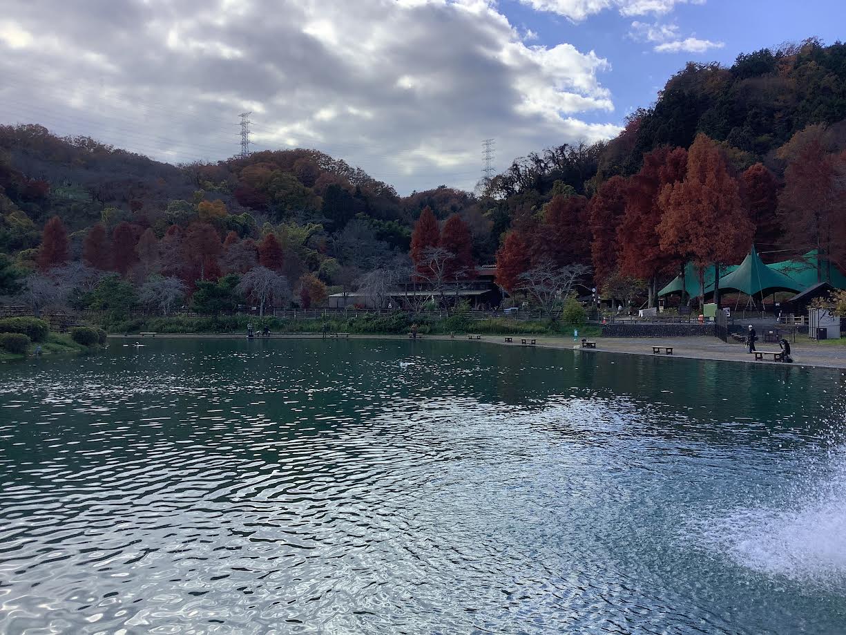 11月29日（土）　日記