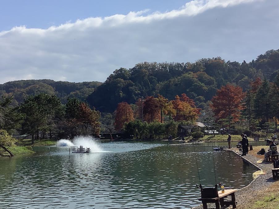 11月8日（土）日記