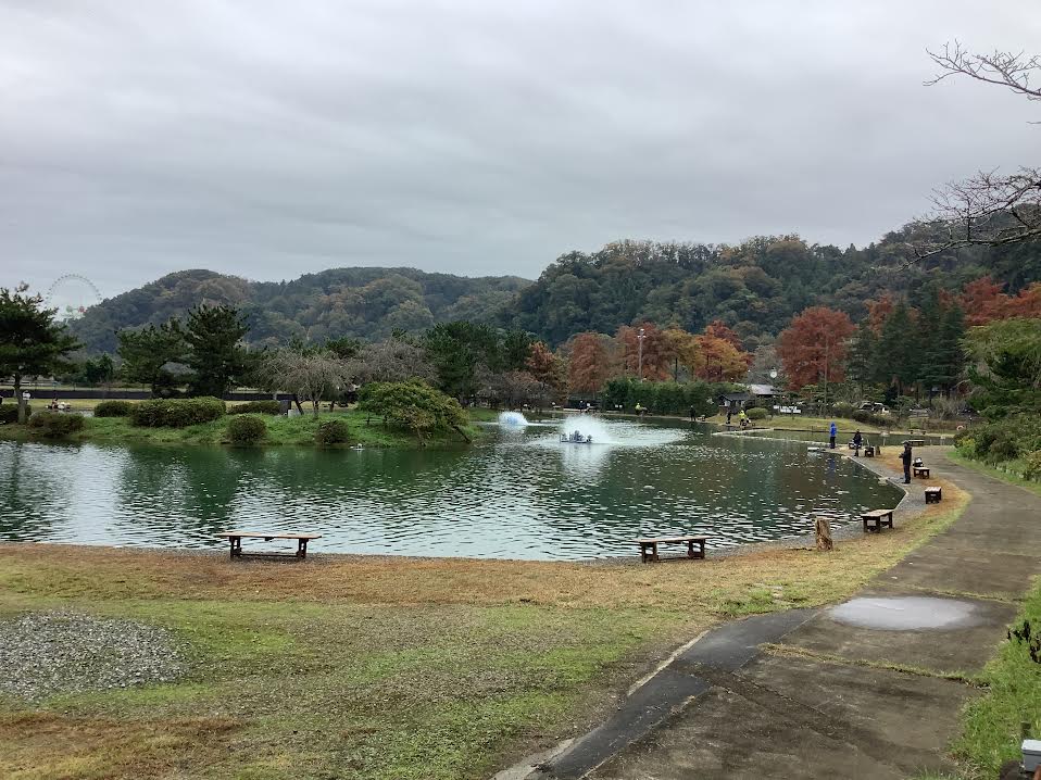 11月9日(日)日記
