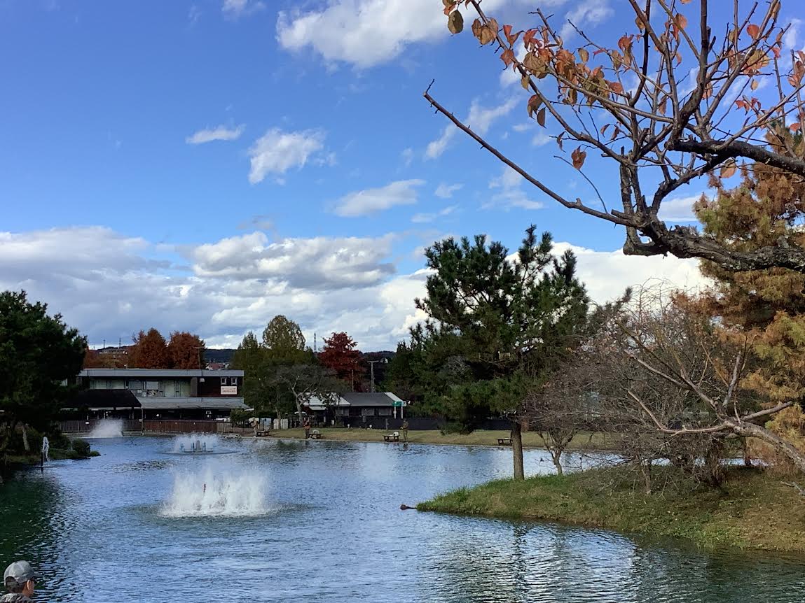 11月10日（月）日記