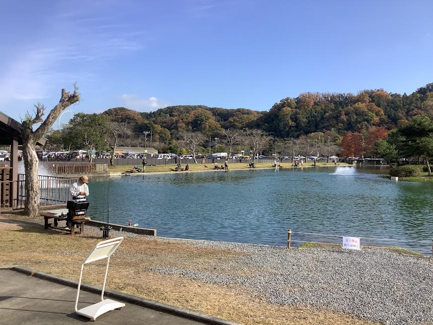 11月16日(日)日記