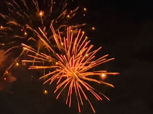 11月15日（土）日記