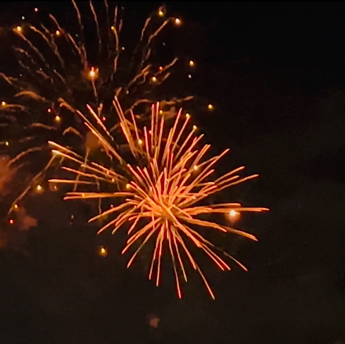 11月15日(土)日記