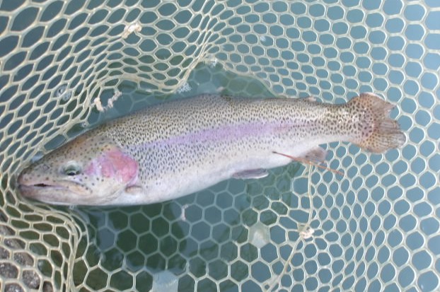 11月29日(土) kazu53さん