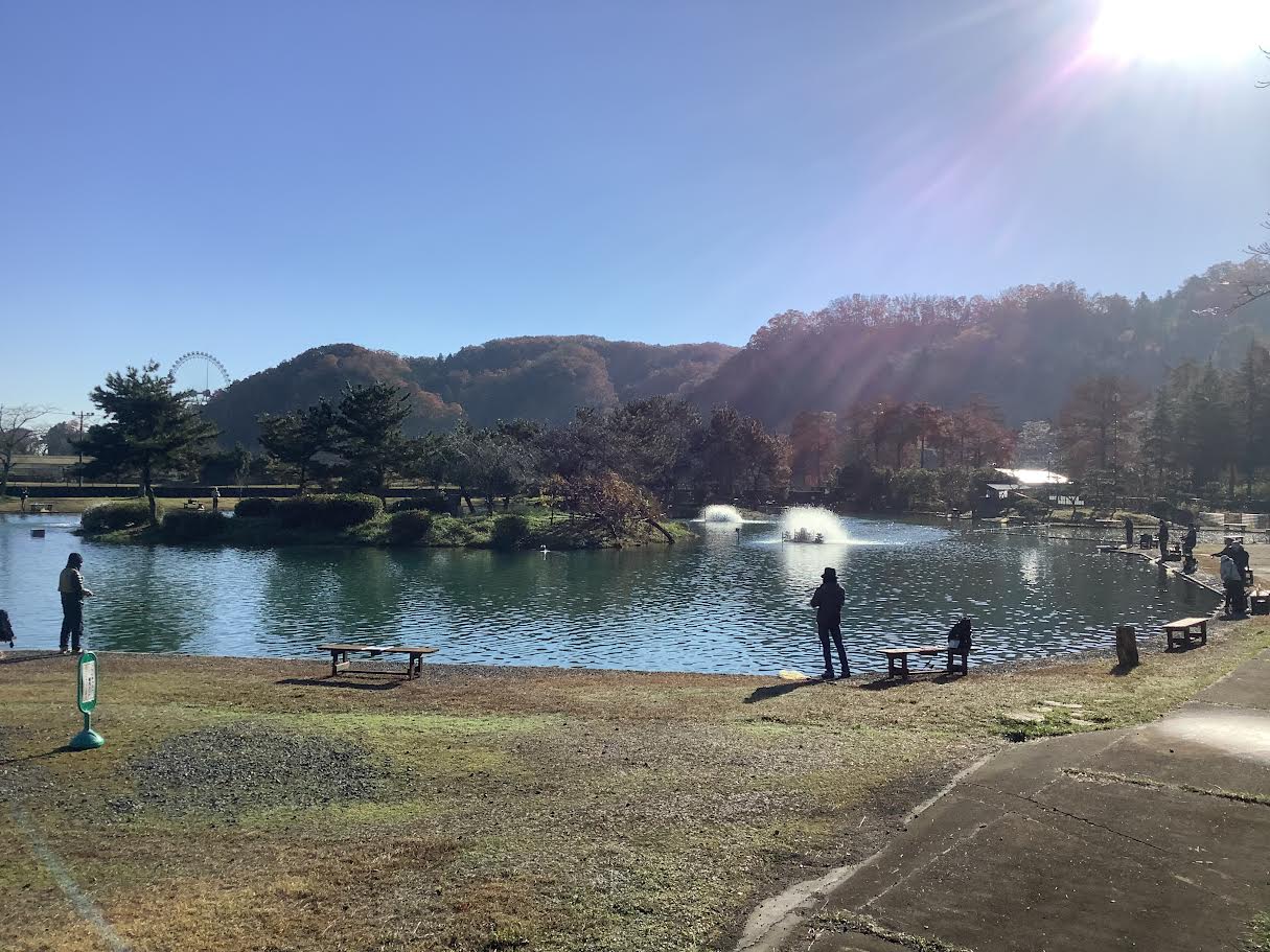 11月28日（金）日記