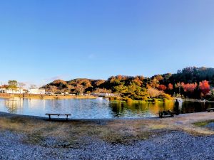 11月19日(水)　日記