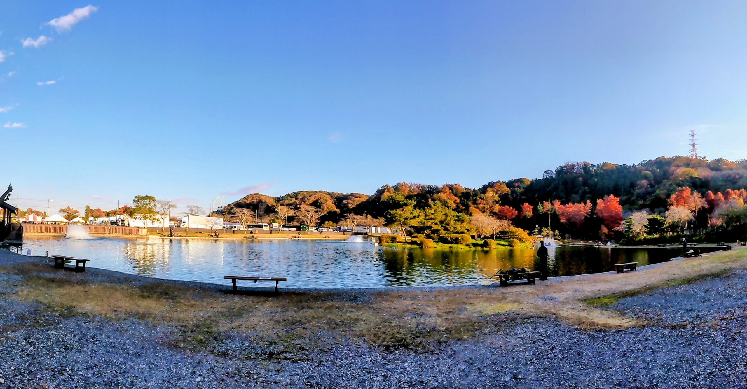 11月19日(水) 日記