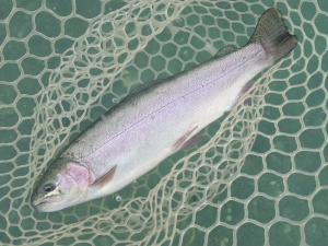 11月25日(火)　入間市　寒いの苦手さん