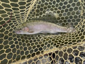 11月4日(火)　タロヤンさん