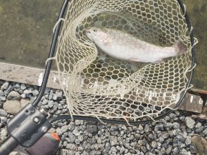 11月2日（日）立川市　たかちゃんさん