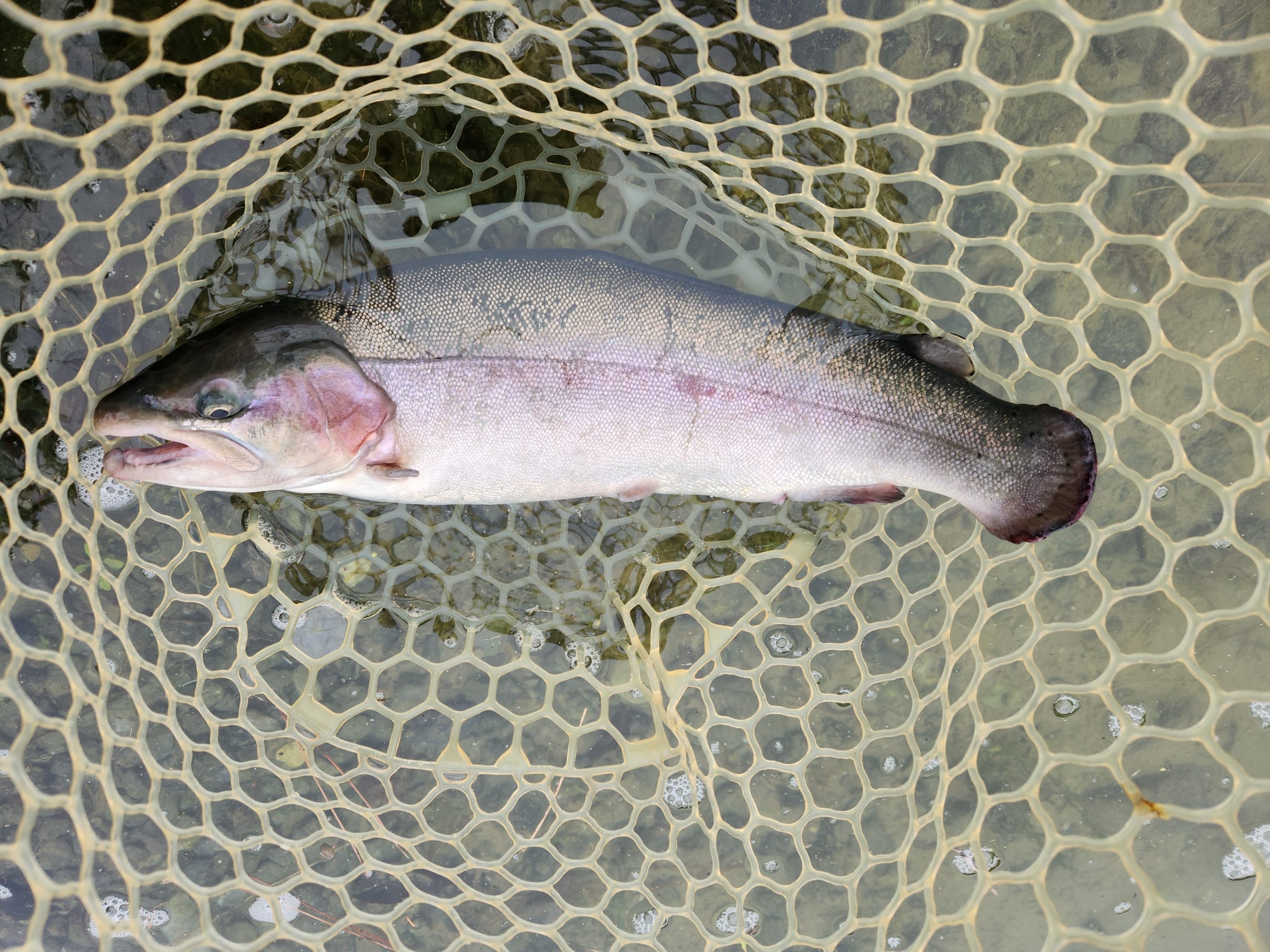 11月5日（水）あきる野市　ひさん