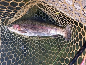 11月8日（土）稲城市　さかいさん