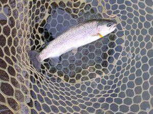 11月9日（月）　八王子市　平山さん