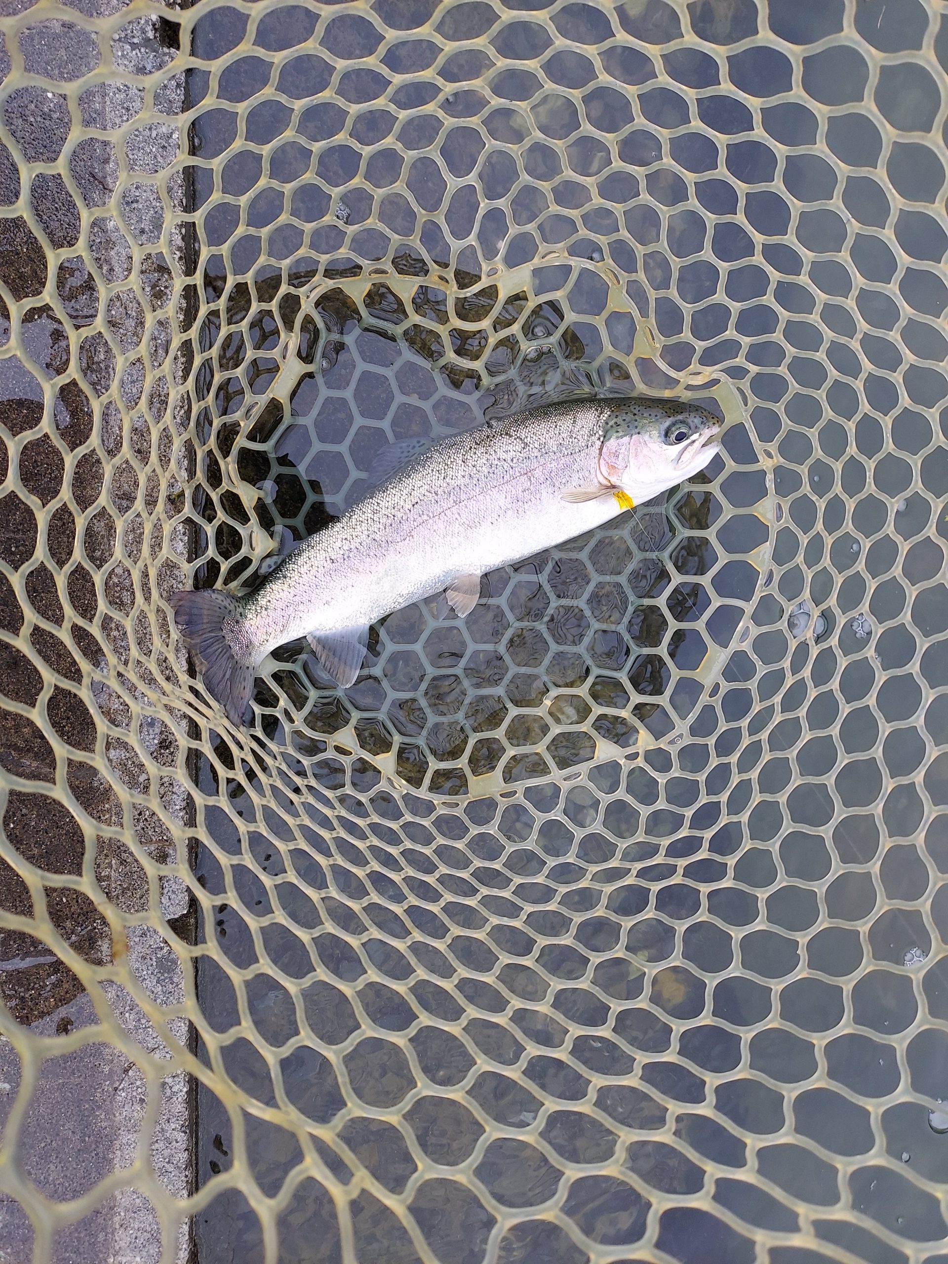 11月9日（月）　八王子市　平山さん