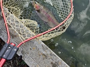 11月29日（土）　杉並区　さいとうさん