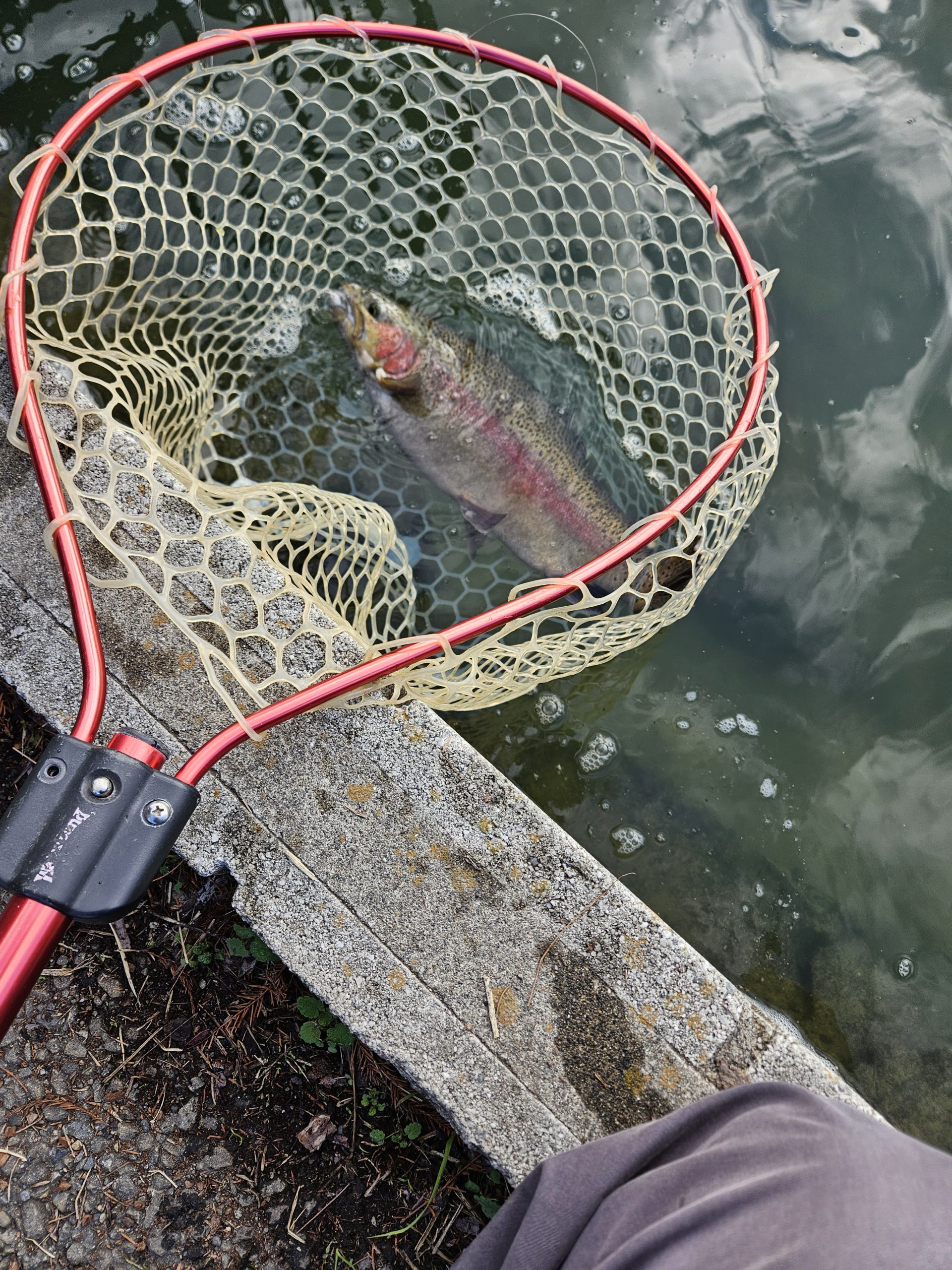 11月29日（土）　杉並区　さいとうさん