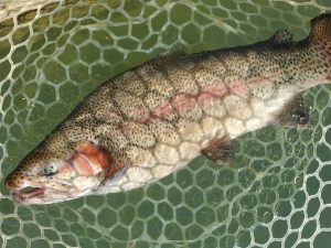 11月19日(水)　入間市　寒いの苦手さん