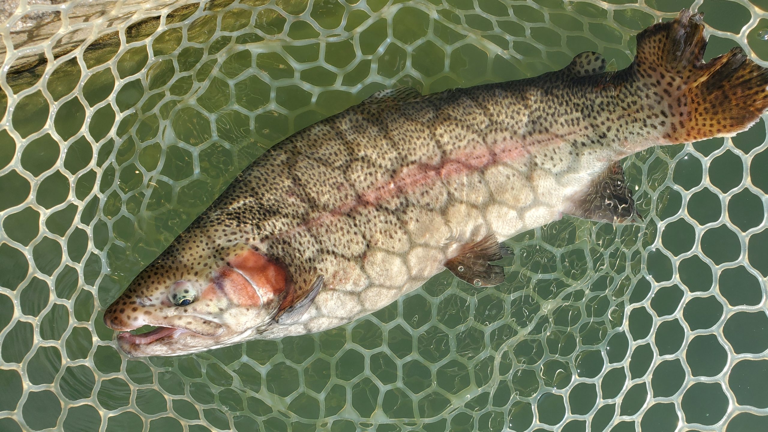 11月19日(水)　入間市　寒いの苦手さん
