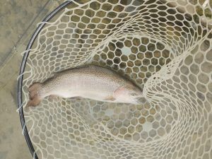 11月23日（日）立川市　たかちゃんさん