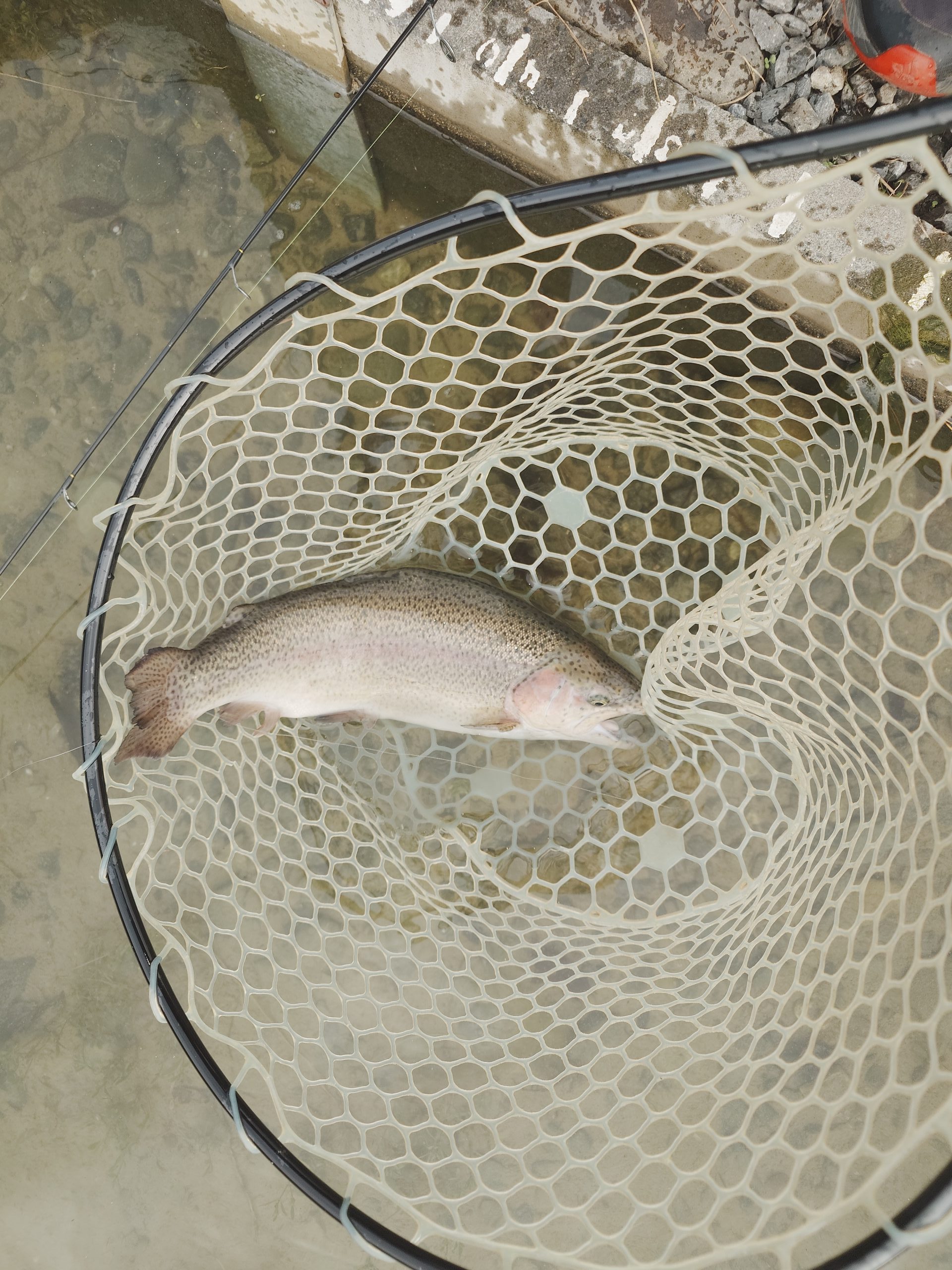 11月23日（日）立川市　たかちゃんさん