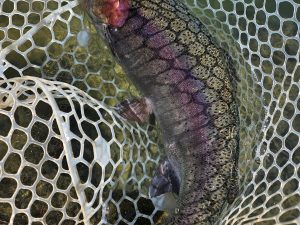 11月24日(月)　杉並区　さいとうさん