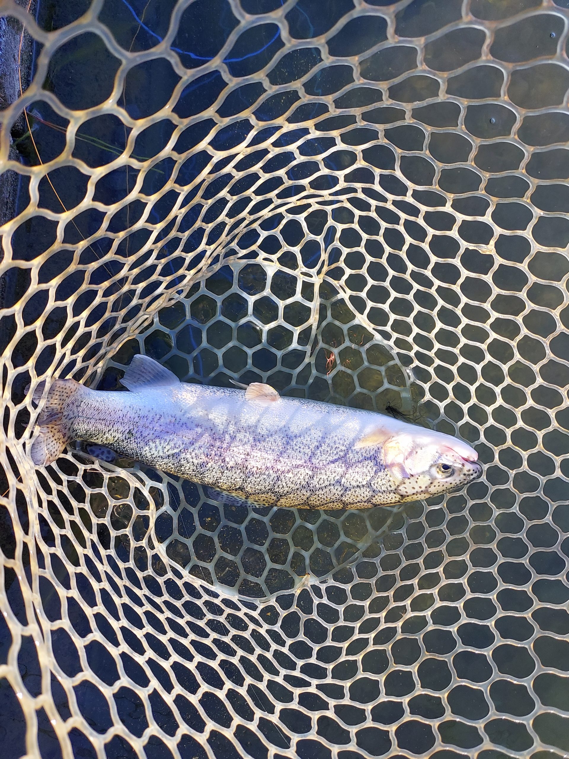 11月24日(月)　八王子市　平山さん