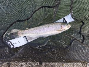 11月7日（金）武蔵村山市　佐藤さん