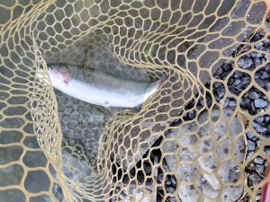 11月10日(月)　横浜市　おじさんさん