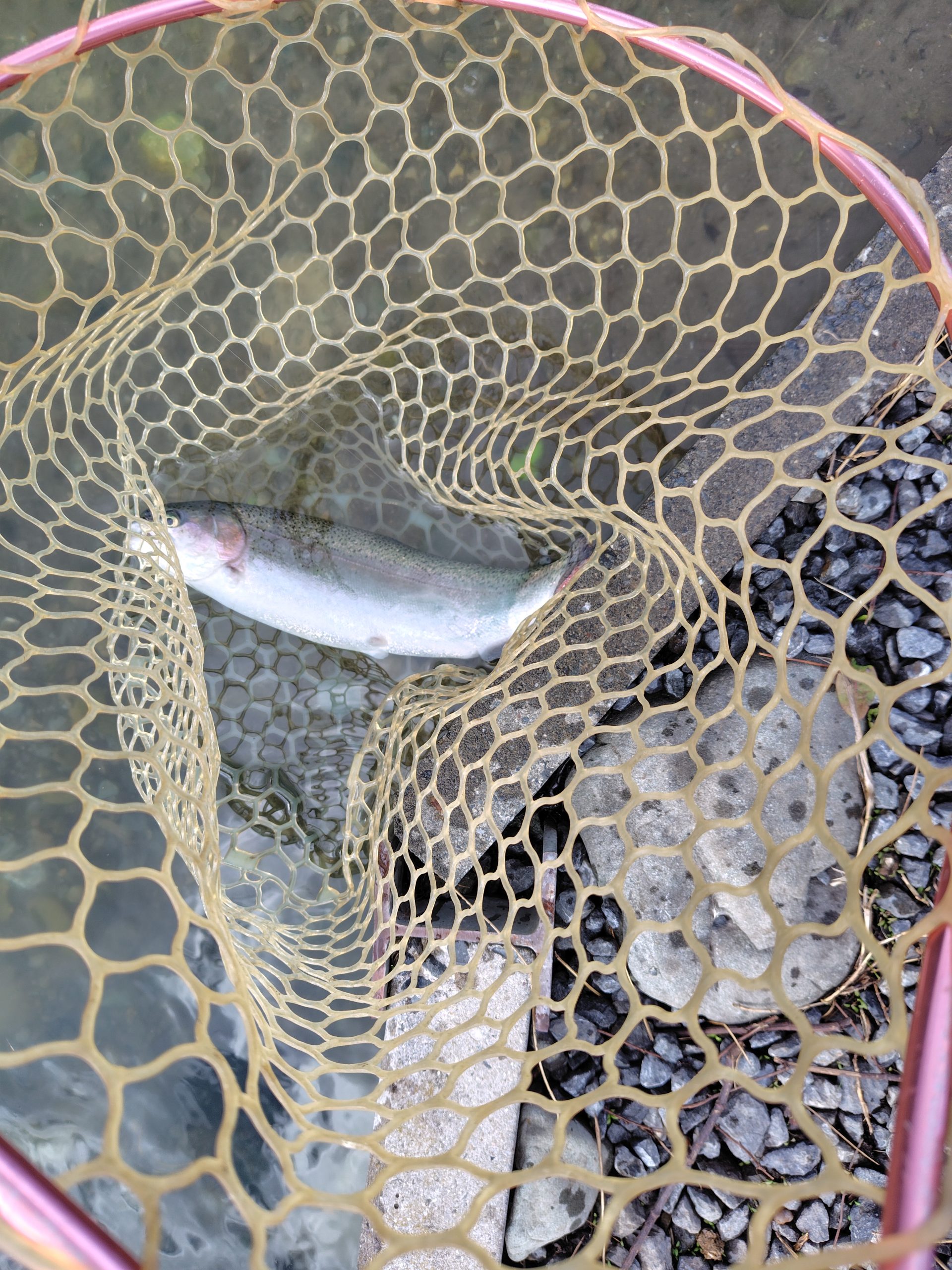 11月10日(月)　横浜市　おじさんさん