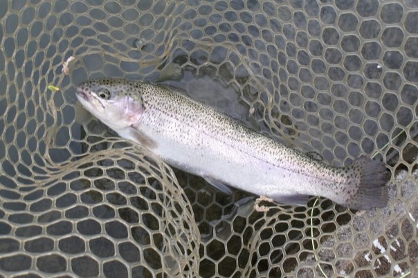 11月11日（火）三鷹市　kazu53　さん