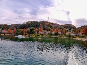 11月12日(水)　日記