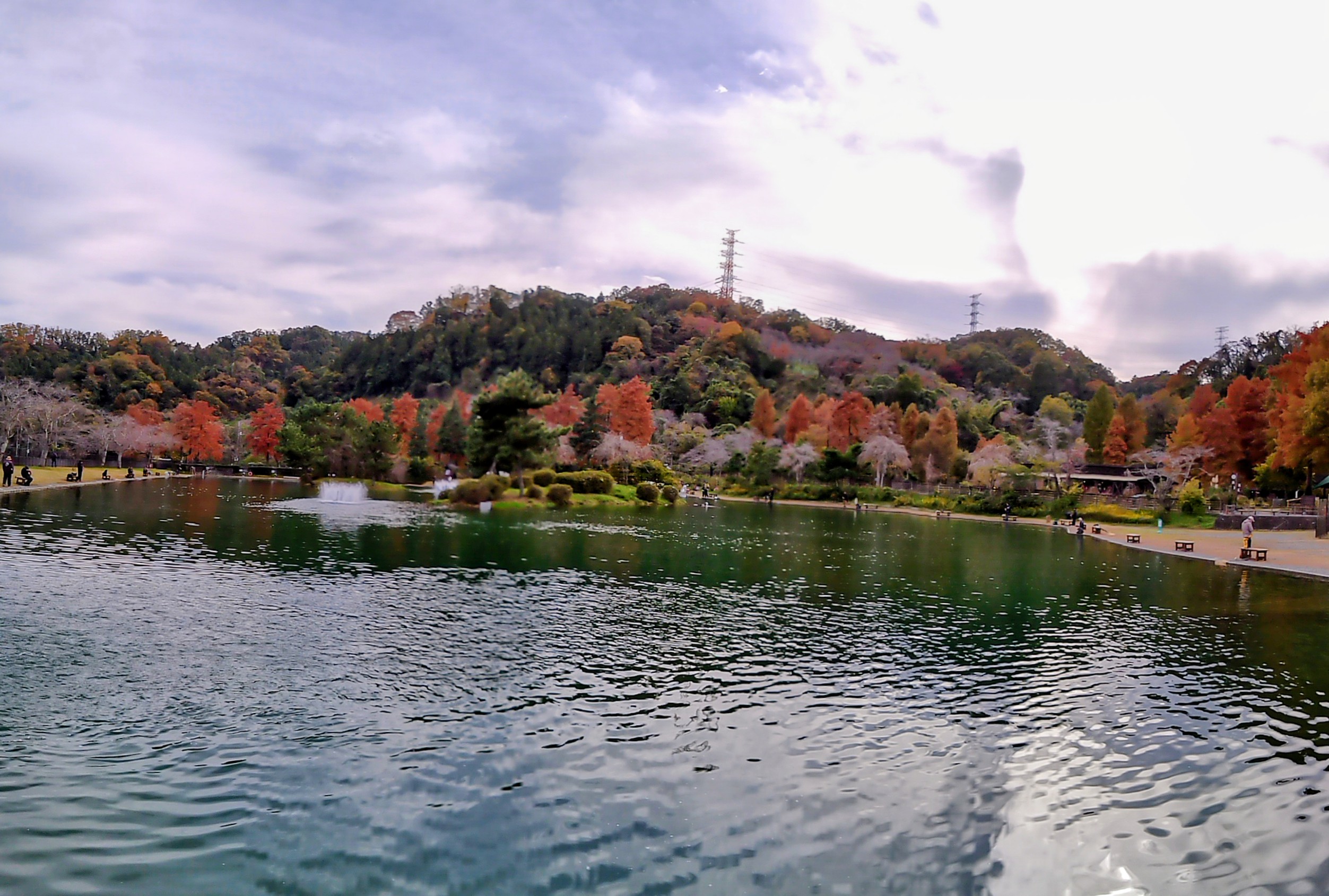 11月12日(水)　日記