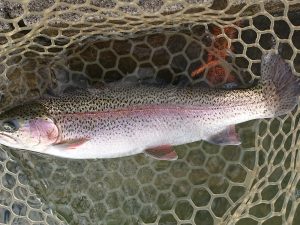 11月29日（土）　練馬区　あんちゃんさん