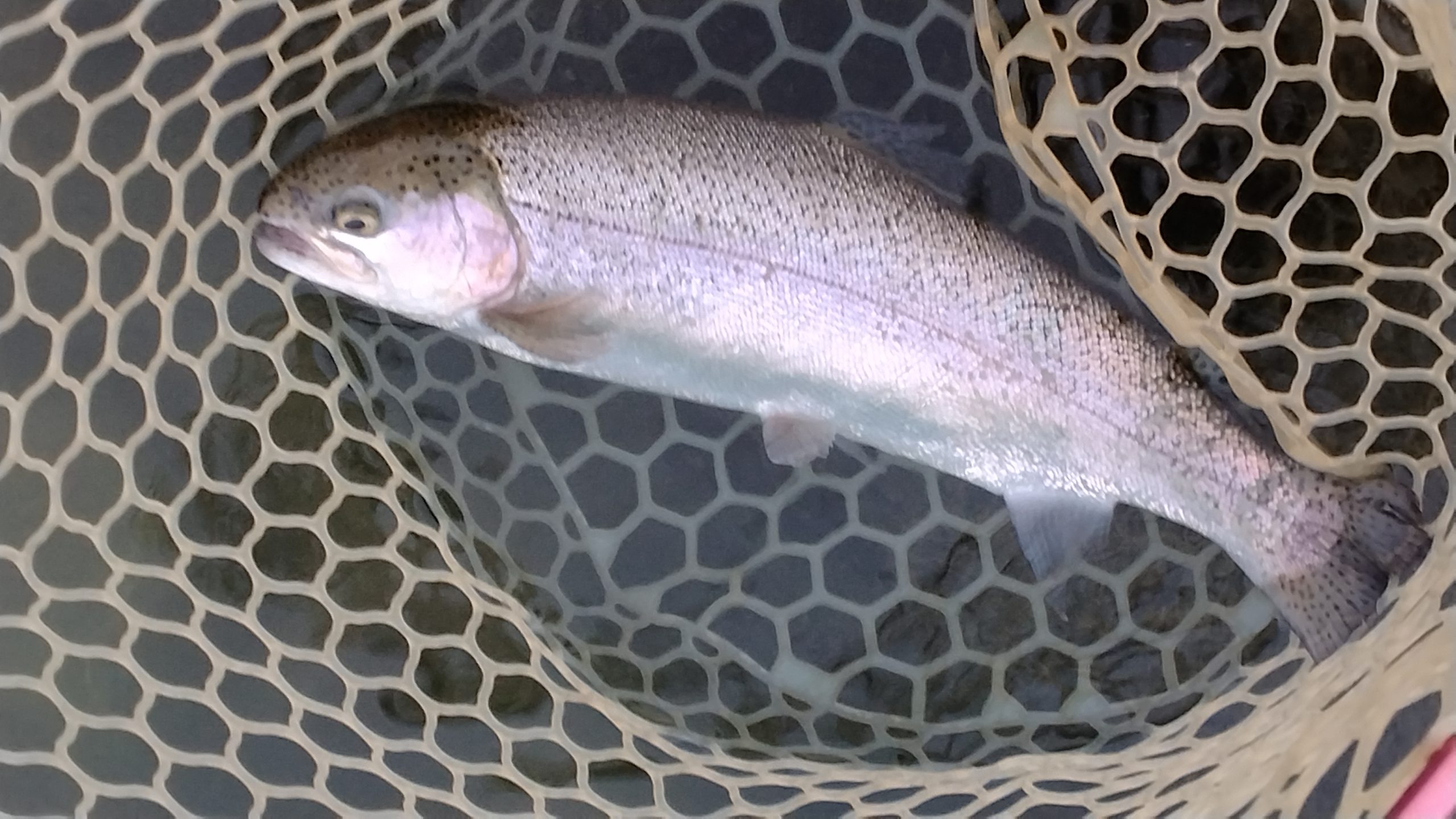 11月9日(日) 三鷹市 くにザイルさん