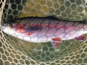 11月24日（月）　三鷹市　くにザイルさん