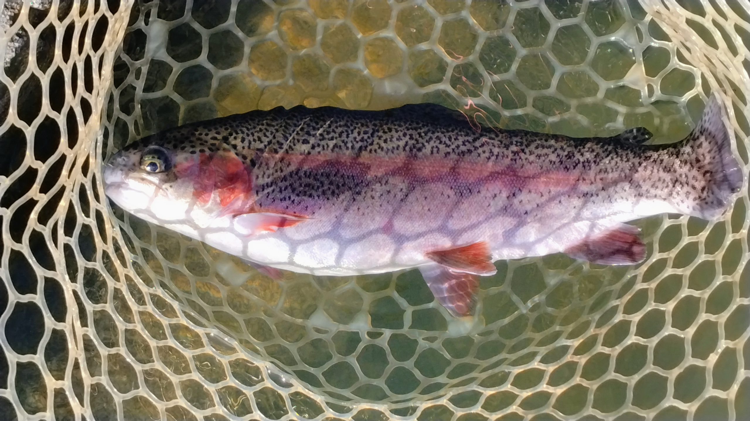 11月24日（月）　三鷹市　くにザイルさん