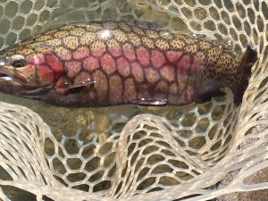 11月26日（水）三鷹市　くにザイルさん