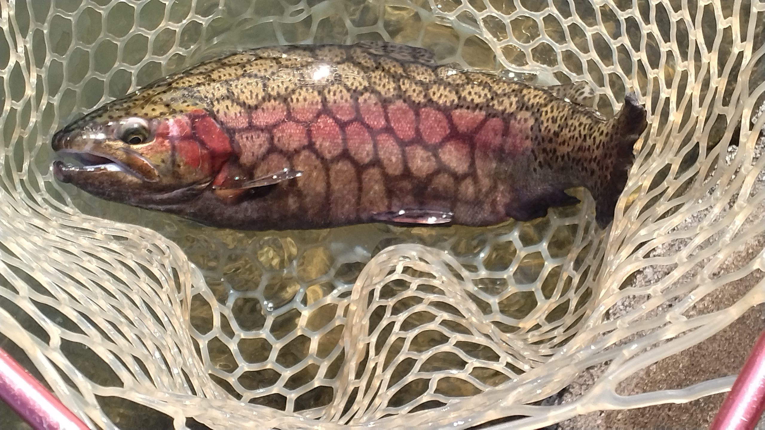 11月26日（水）三鷹市　くにザイルさん