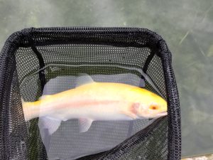 10月31日(金)　所沢市　コロレインボーさん