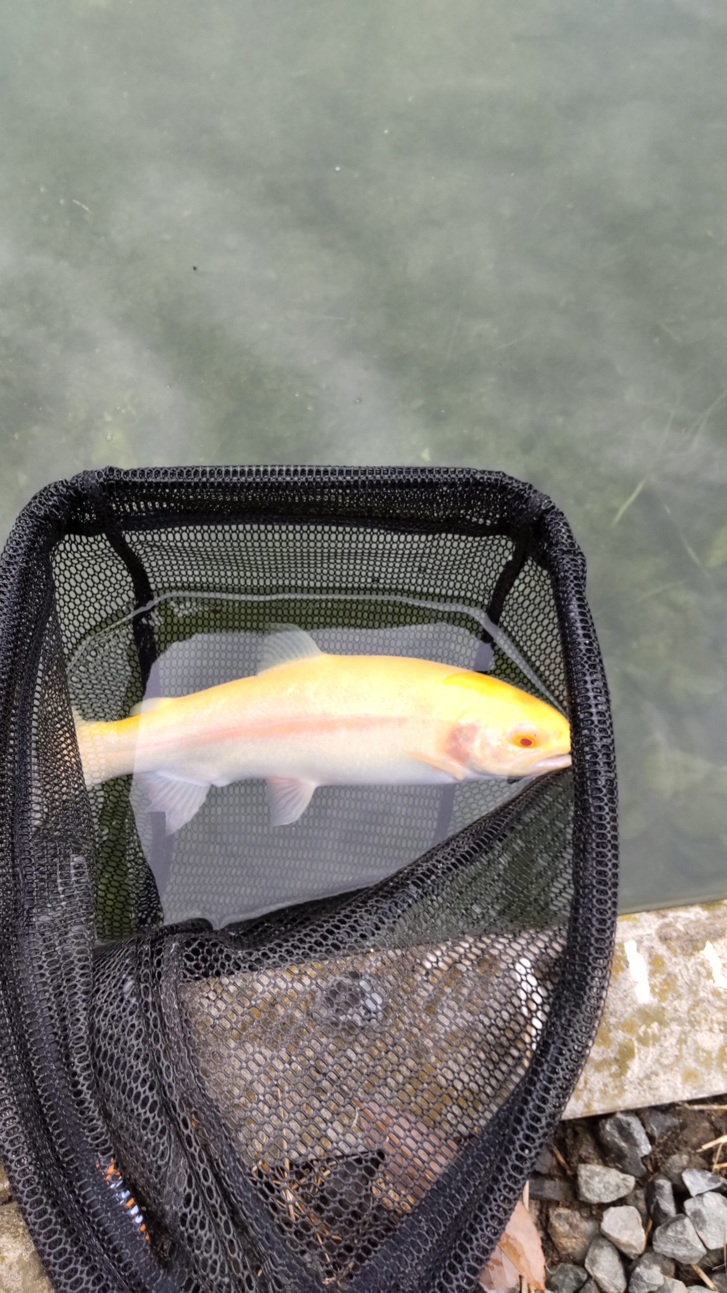 10月31日(金)　所沢市　コロレインボーさん