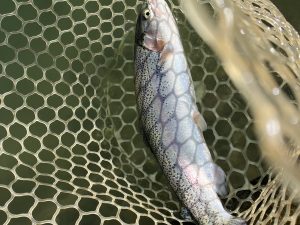 11月18（火）越谷市　iwana107さん