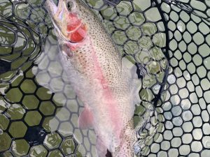 11月8日（土）国立市東　K.Tさん