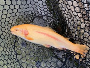 11月11日（火）　国立市　K.Tさん