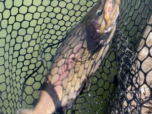 11月14日（金）国立市　K.Tさん