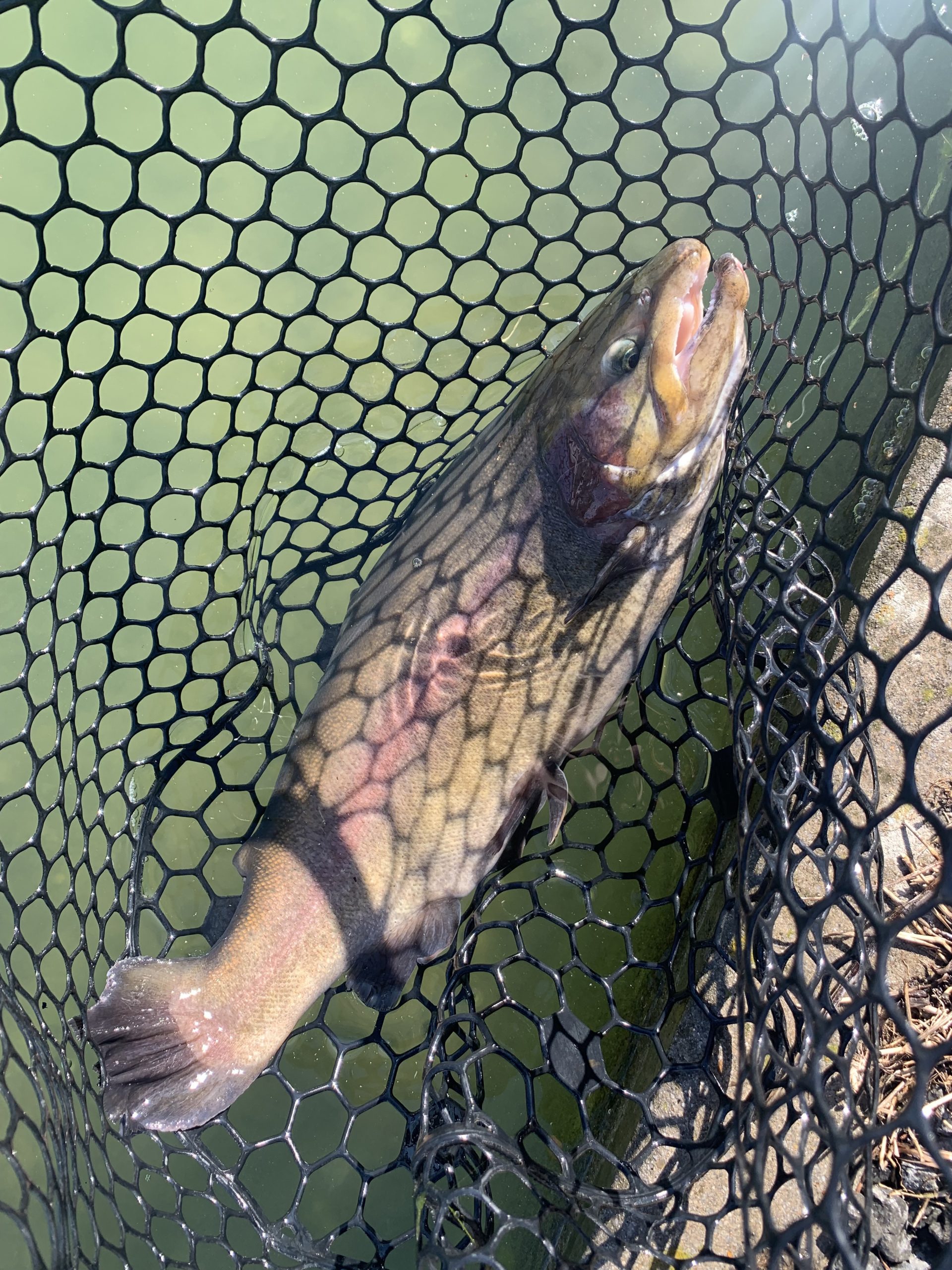 11月14日（金）国立市　K.Tさん